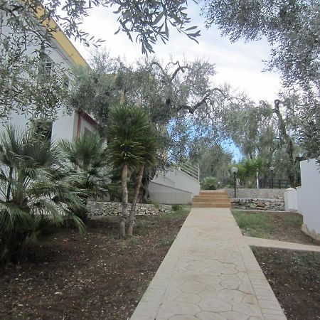 Villa Elisa Vieste Exteriér fotografie
