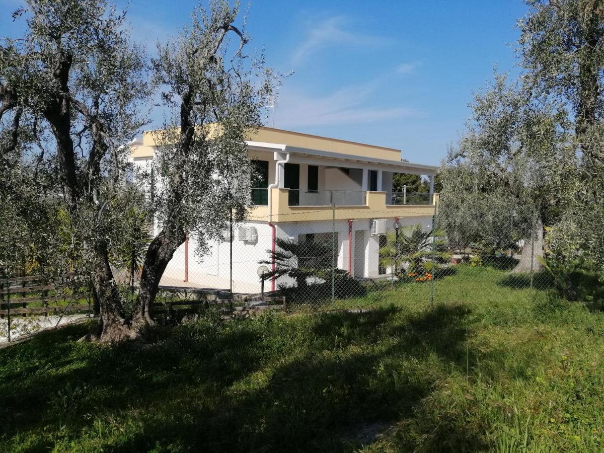 Villa Elisa Vieste Exteriér fotografie