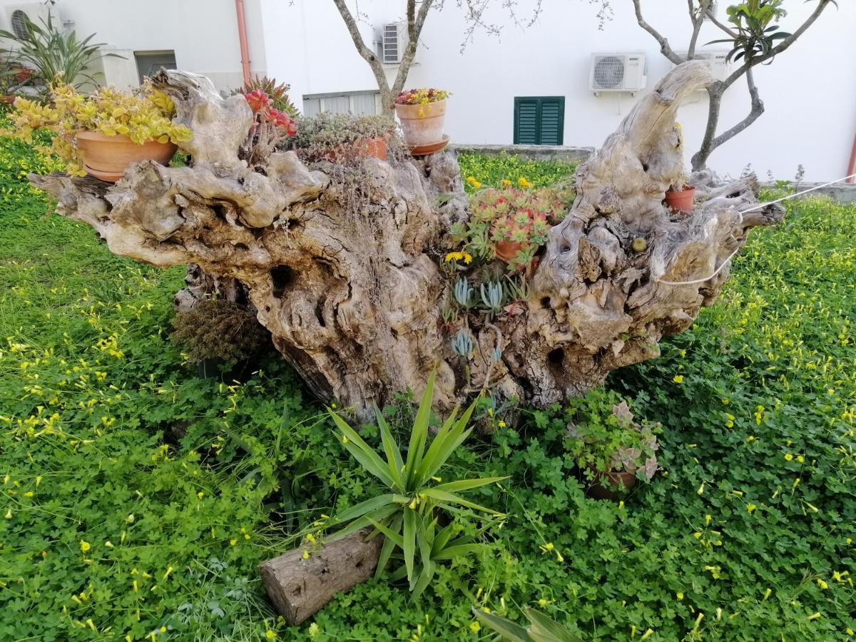 Villa Elisa Vieste Exteriér fotografie