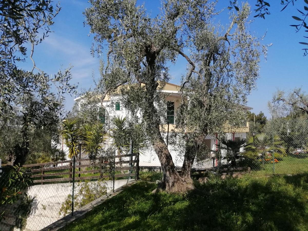 Villa Elisa Vieste Exteriér fotografie